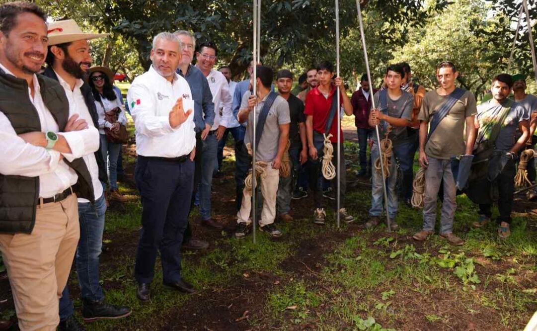 Se establecerá una compensación, por servicios ambientales con acciones en bosques propios, pago económico anual al fideicomiso, por servicios hidrológicos y plantación forestal comercial. Foto: Especial