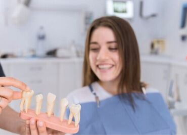 Adiós implantes y prótesis, la ciencia descubre un fármaco que ayudará a regenerar los dientes