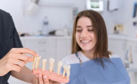 Adiós implantes y prótesis, la ciencia descubre un fármaco que ayudará a regenerar los dientes