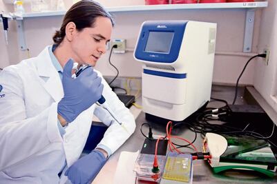 Sonorenses son proclives a obesidad