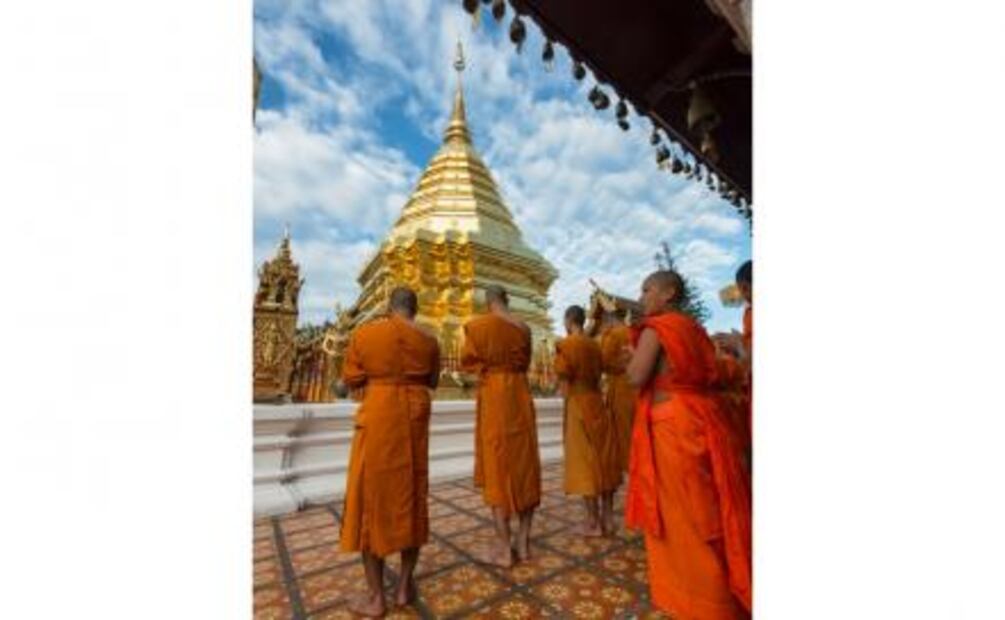 Viaja como voluntario para cuidar elefantes