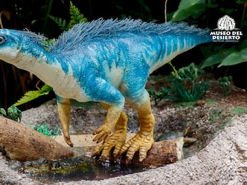 Mexican scientists discover dinosaur fossil in Coahuila