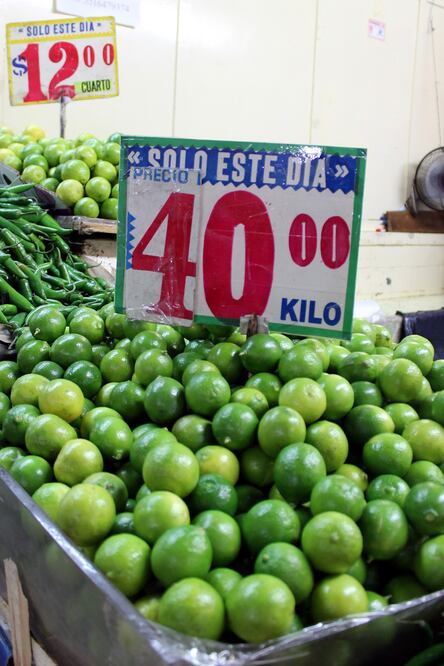 ARCHIVO EL UNIVERSAL