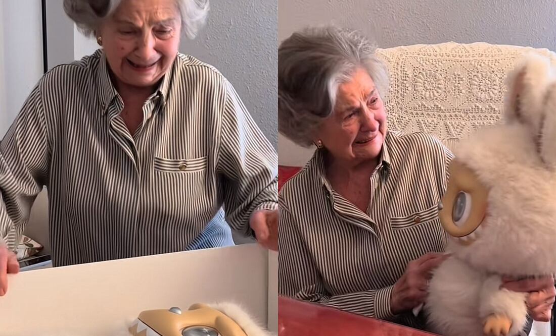Así reaccionó la mujer de 90 años cuando sus nietos le regalaron un Labubu gigante. Fotos: TikTok