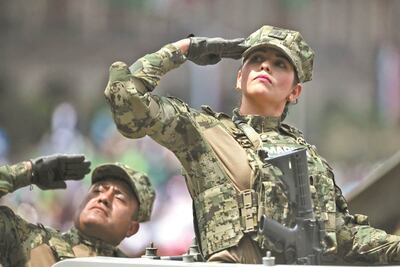 Preocupa a ONU-DH que Fuerzas Armadas se ocupen de seguridad