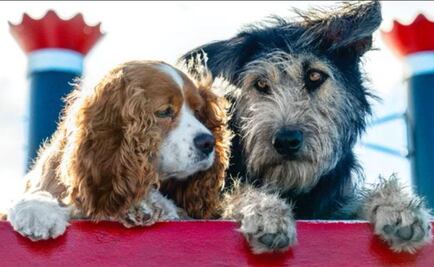 Revelan conmovedor tráiler de "La dama y el vagabundo"