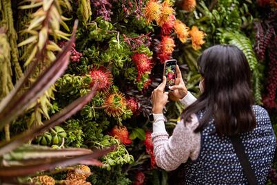 ¿Cuándo es el Festival Flores y Jardines 2025 en CDMX?