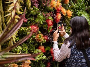 ¿Cuándo es el Festival Flores y Jardines 2025 en CDMX?