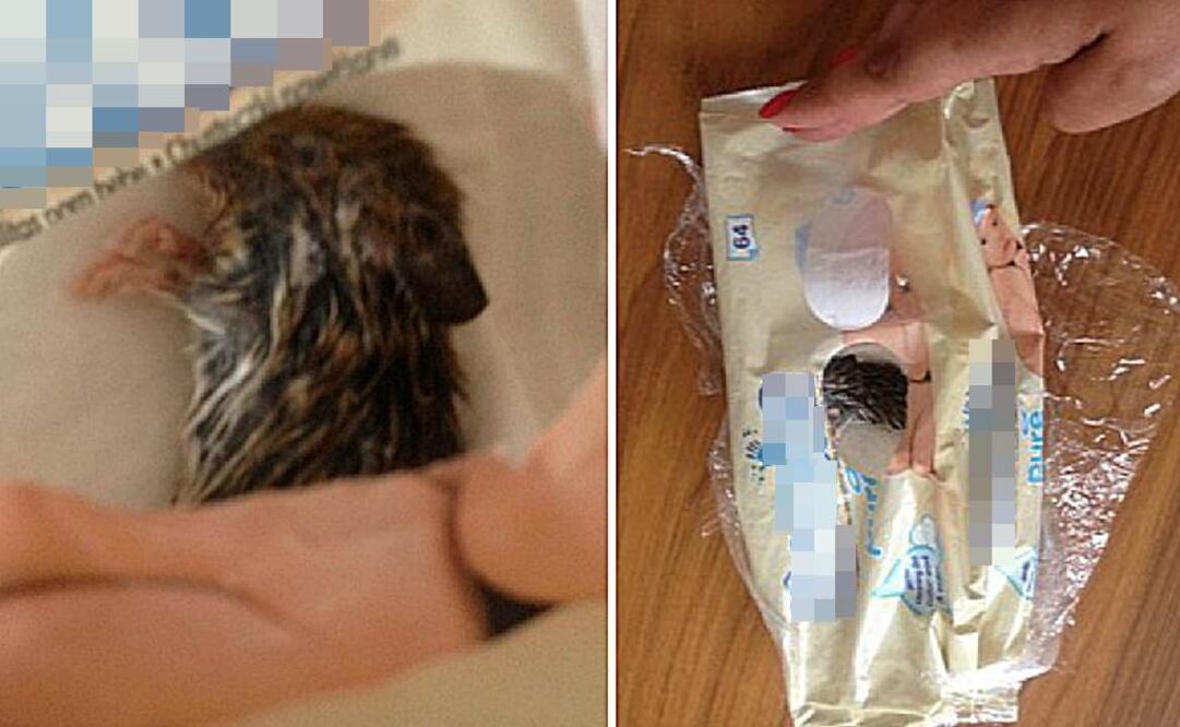 "Me estaba limpiando los ojos para quitarme el maquillaje antes de dormir. Iba a tomar otra toalla del paquete cuando vi una mancha oscura y después me di cuenta de lo que era", dijo la mujer Foto: dailymail.co.uk