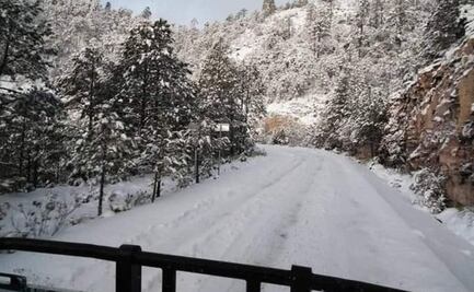 Reportan caída de nieve en 10 municipios de Durango; cierran autopista