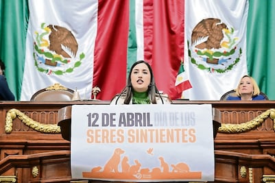 Instaurar días conmemorativos, dentro de agenda de diputados