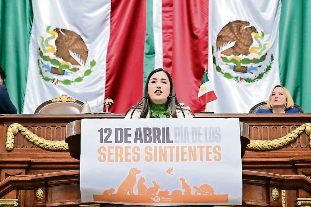 Diputados capitalinos aprobaron el 12 de abril como el Día de los Seres Sintientes. Foto: Especial