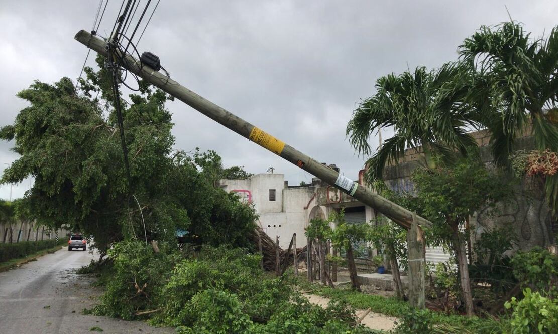 Foto: Diego Simón/ENVIADO EL UNIVERSAL