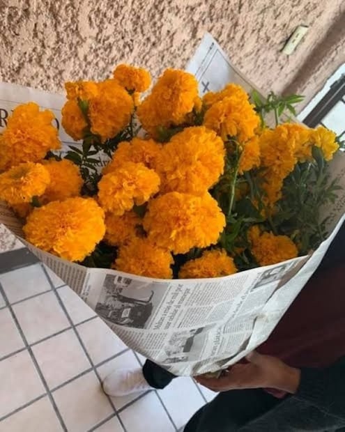 Meme flores amarillas. Foto: Redes Sociales