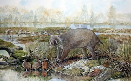 Descubren una nueva familia extinta de marsupiales gigantes