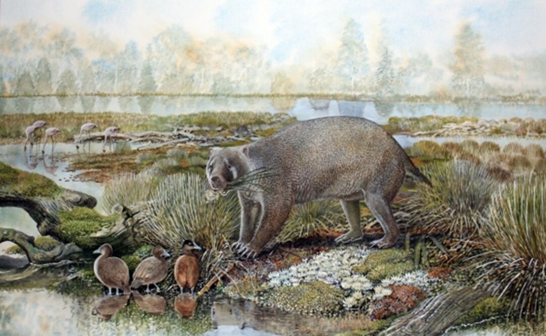 Foto: Peter Schouten vía unsw.edu.au