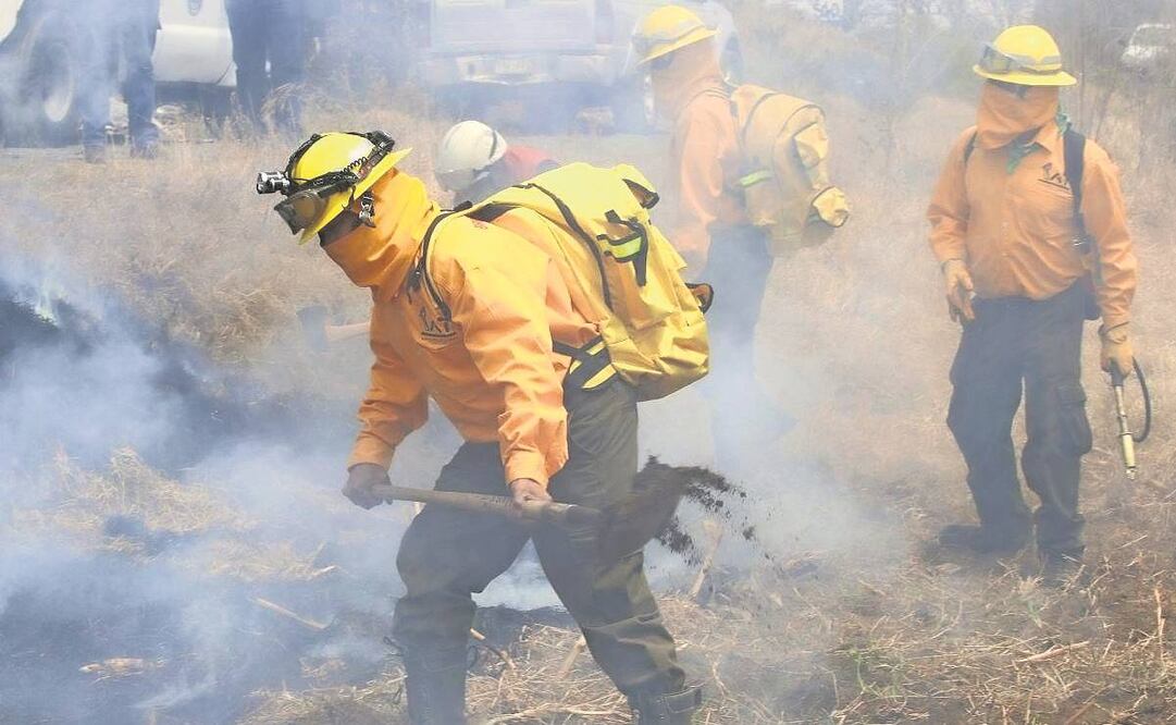  Personal de Protección Civil de la demarcación y la Brigada Harris, conformada por 11 elementos, harán frente a los incendios que se presenten en esta temporada de estiaje.