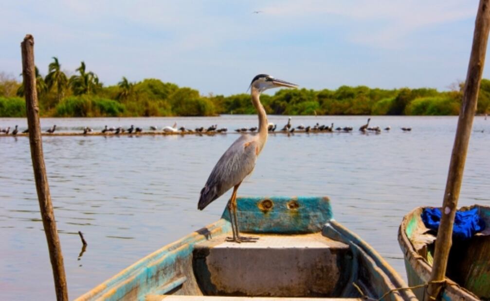 Qué hacer y ver en la Isla de Mexcaltitán, el nuevo Pueblo Mágico de Nayarit