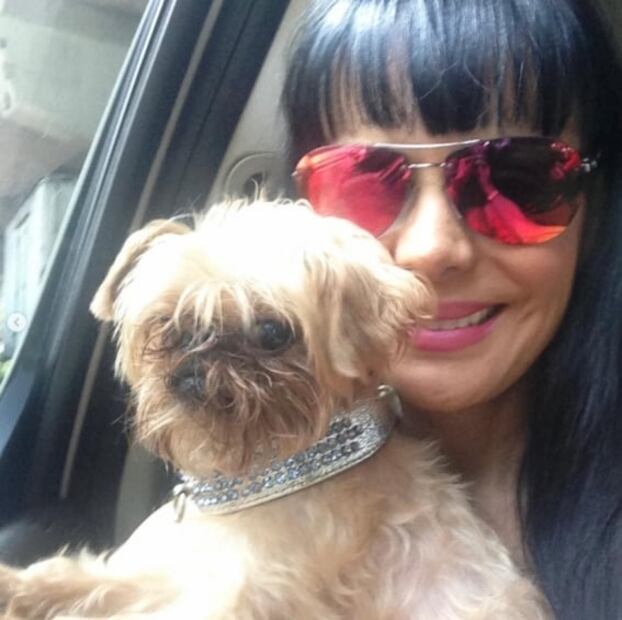 Maribel Guardia llora la muerte de su perrita Paris