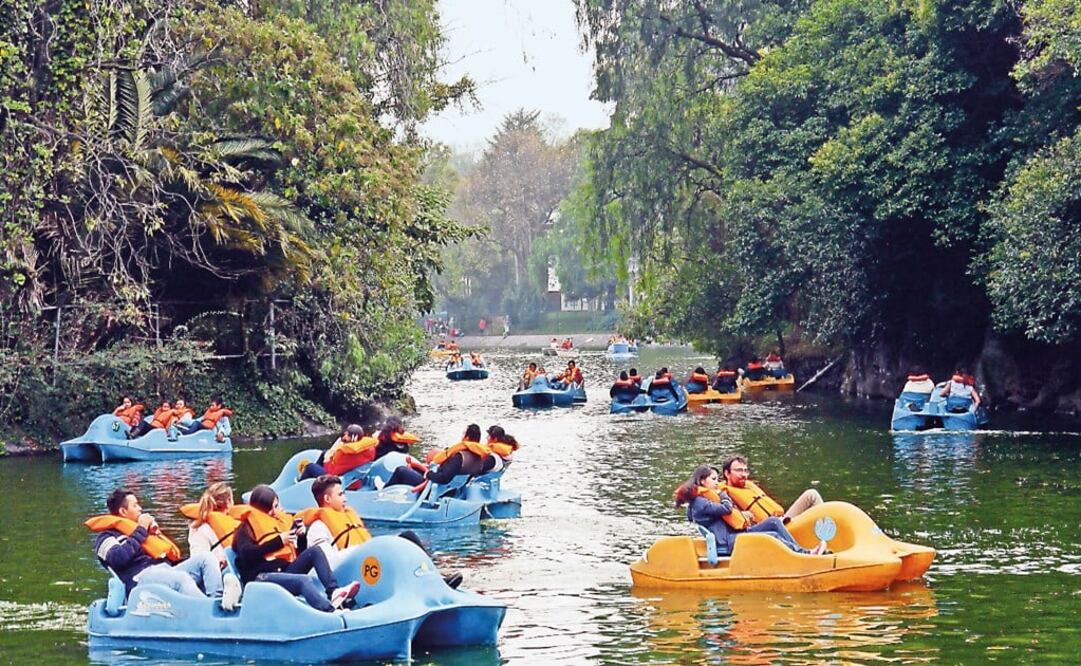 Chapultepec is the main air quality regulator in the city – Photo: Gamaliel Valderrama/EL UNIVERSAL