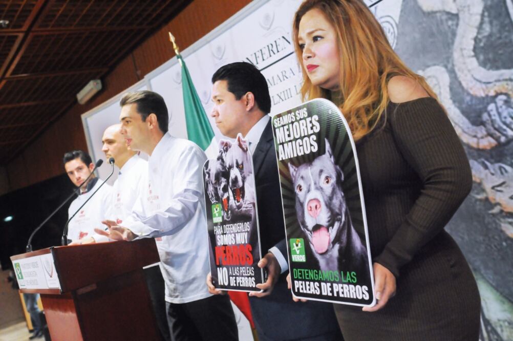 Diputados coinciden en que organizar peleas de perros es una conducta antisocial que merece ser perseguida. (ARCHIVO EL UNIVERSAL)