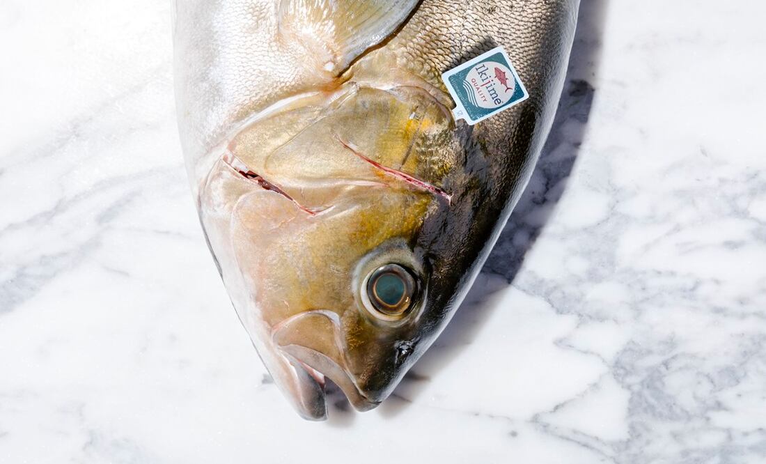 Fotos: Kampachi Farms México