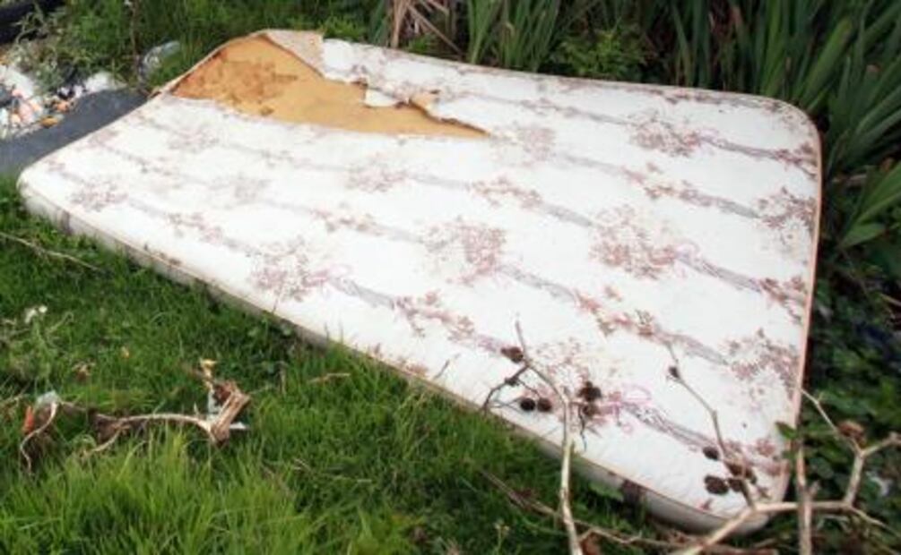 Entérate. ¿Cómo separar la basura en CDMX? 