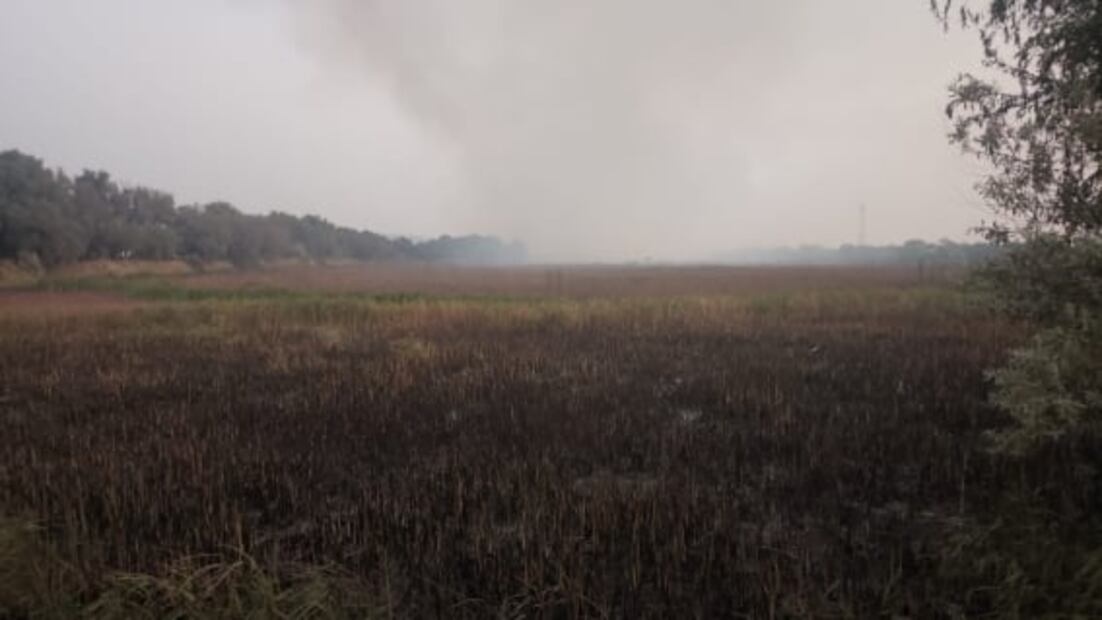 Reportan extenso incendio en pastizales de autopista Naucalpan-Ecatepec