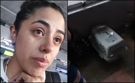 Muere perrito en viaje de Poza Rica a CDMX; denuncian a línea de autobuses por presunta negligencia