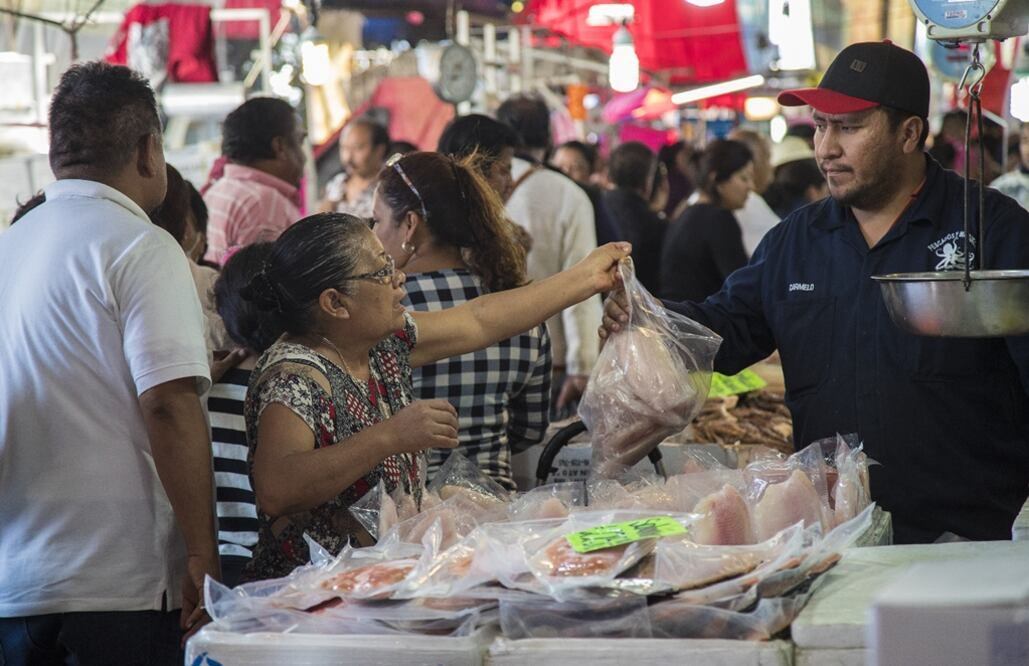 Foto: Yadín Xolalpa/EL UNIVERSAL