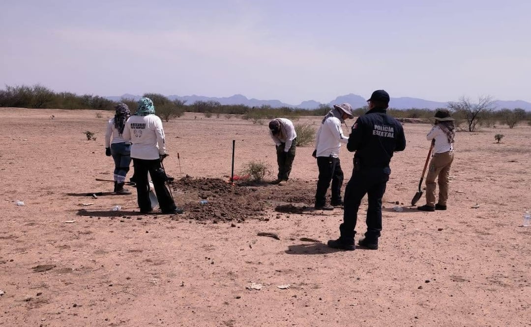 Hallan 16 osamentas en Guaymas en menos de una semana; ubican nuevas fosas clandestinas. Foto: Especial