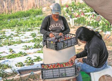 Gobierno de EU pedirá información de contribuyentes inmigrantes al IRS; violaría protecciones individuales de trabajadores, acusan