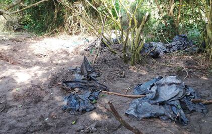 Hallan 47 cráneos en fosa ilegal de Alvarado, Veracruz