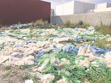 Destaca economía circular como alternativa sustentable