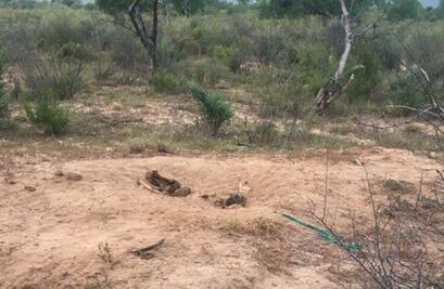 Reportan fin de semana violento en Baja California Sur