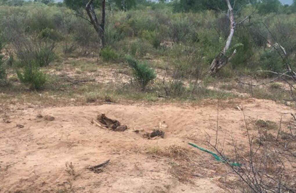 Foto: Cortesía NBCS Noticias 