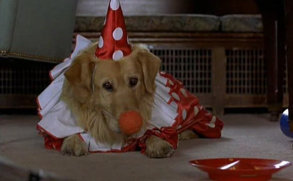 "Air Bud" (1997).
IMDB.