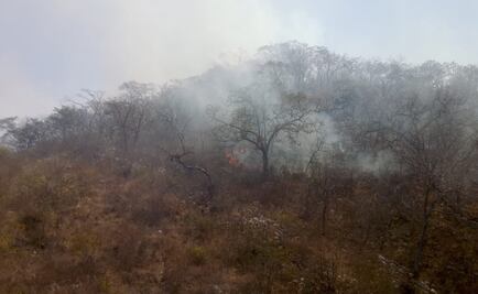 Incendio consume 50 hectáreas en Cañón del Sumidero