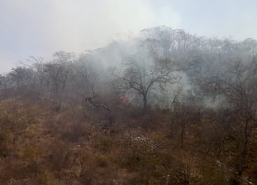 Incendio consume 50 hectáreas en Cañón del Sumidero