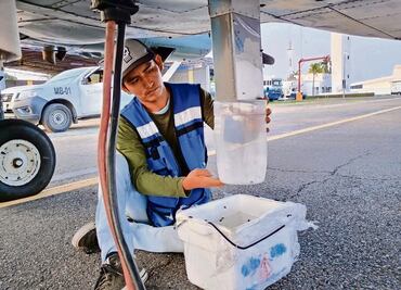 Instalan centro de moscas estériles