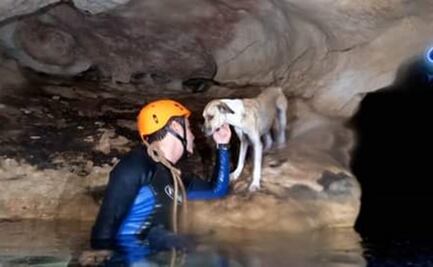 Perrita Shakira, sin miedo al cenote donde pasó 4 días atrapada; regresa a recorridos con turistas