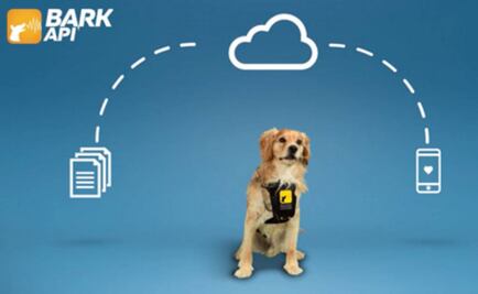 Desarrollan app para identificar las emociones de los perros