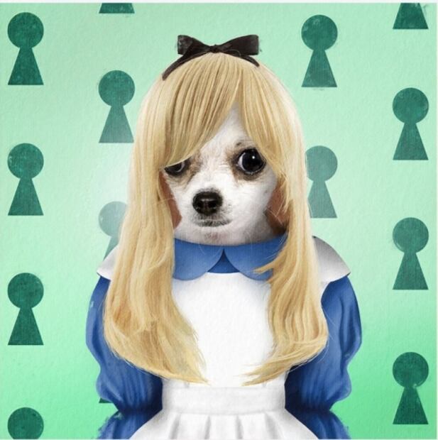 Disfrazan a mascotas de personajes de la cultura pop y se vuelve viral