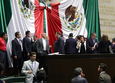 Avalan diputados reforma que prohíbe delfinarios