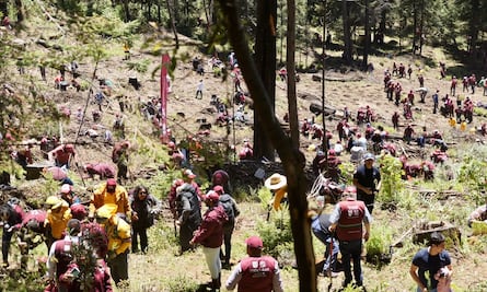 Reforestan el Ajusco; plantan cien mil árboles en zona afectada por tala
