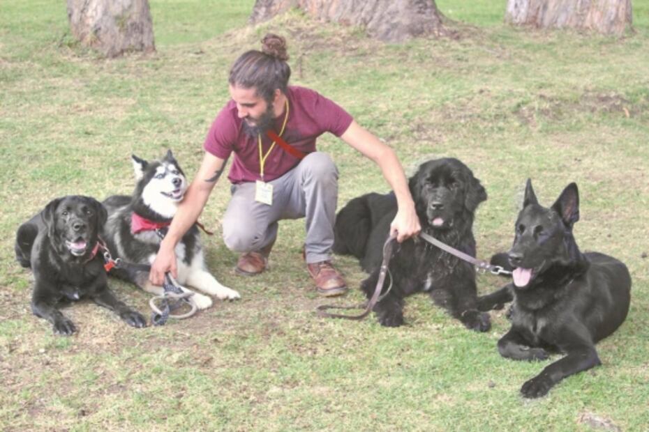 Perros e internos: asistencia mutua