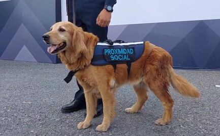¡Buen trabajo, "Sky"! Jubilan a perrita de la Policía Municipal en Saltillo