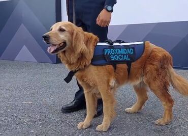 ¡Buen trabajo, "Sky"! Jubilan a perrita de la Policía Municipal en Saltillo