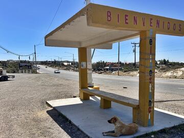 FOTOS: La Rumorosa, el pueblo que pasó de ser la capital ovni al toque de queda por narcoviolencia