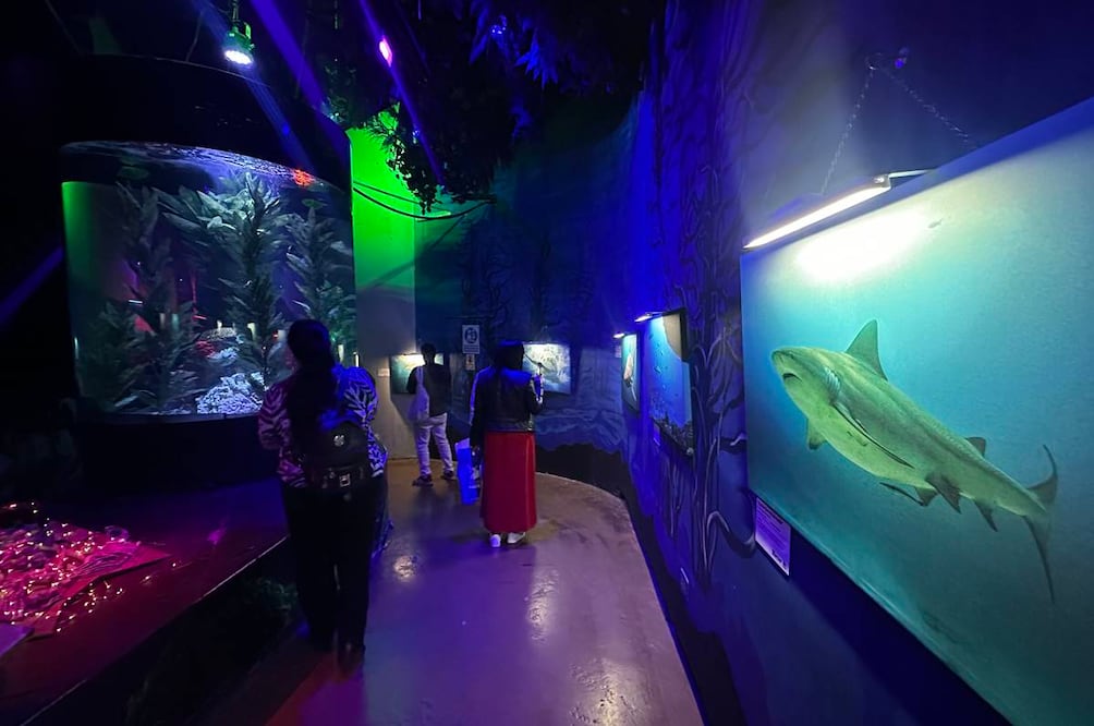 Foto: Omar Moreno. El Universal